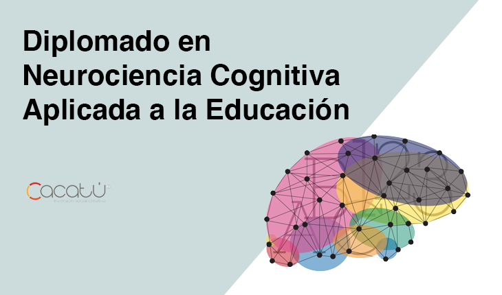 Diplomado en Neurociencia Cognitiva Aplicada A La Educación